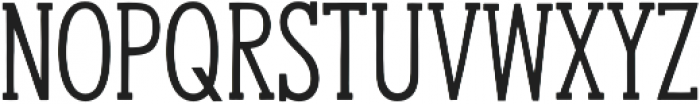 Hanley Slim Serif otf (400) Font UPPERCASE