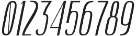 Hautte Thin Italic Condensed otf (100) Font OTHER CHARS