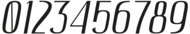 Hautte Thin Italic otf (100) Font OTHER CHARS