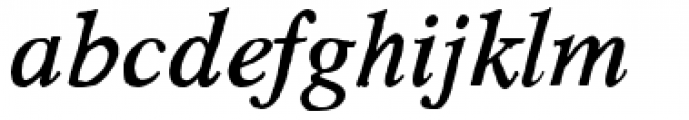 HardTimes Roman Italic Font LOWERCASE