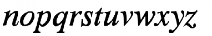 HardTimes Roman Italic Font LOWERCASE