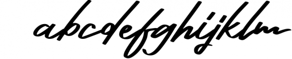 Hakim Signature Font Font LOWERCASE