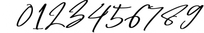 Hamilton - Elegant Signature Font OTHER CHARS