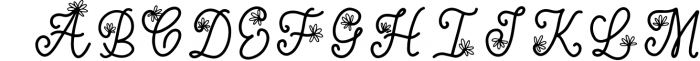 Handwritten Monogram Font - Four Styles 1 Font UPPERCASE
