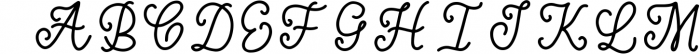 Handwritten Monogram Font - Four Styles 1 Font LOWERCASE
