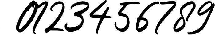 Hayabuka - Signature Font Font OTHER CHARS