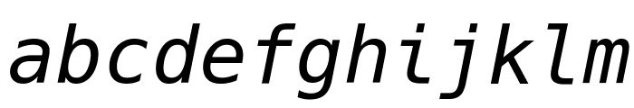 Hack Oblique Font LOWERCASE