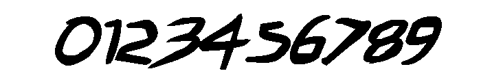 Hakturus Bold Italic Font OTHER CHARS