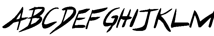 Hakturus Italic FONT