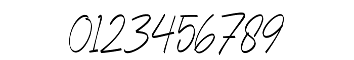 Havelin Signature Italic Font OTHER CHARS