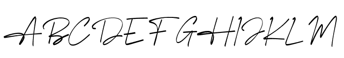 Havelin Signature Italic Font UPPERCASE