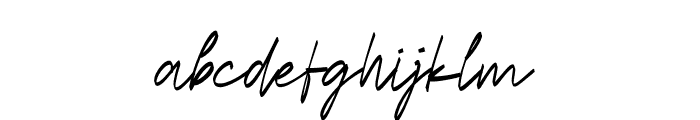 Havelin Signature Italic FONT