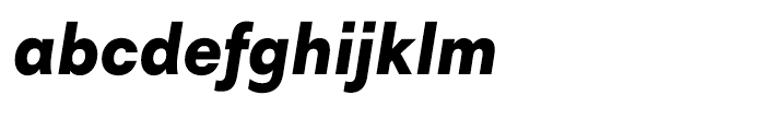 Harmonia Sans Cyrillic Black Italic Font LOWERCASE