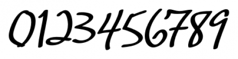 Hasty Hand Regular Font OTHER CHARS