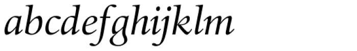 Haarlemmer Pro Italic Font LOWERCASE