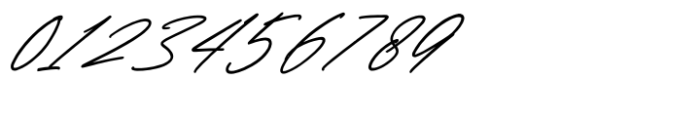 Haigrast Script Bold Italic Font OTHER CHARS
