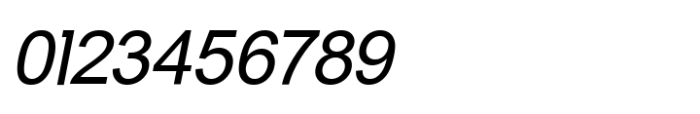 Halogeton Italic Font OTHER CHARS
