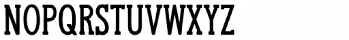 Hanley Pro Slim Serif Bold Font LOWERCASE