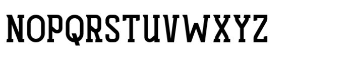 Haugen Slab Semi Bold Font UPPERCASE