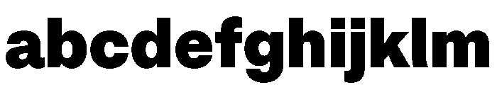 HALFourGrotesk Ultra FONT