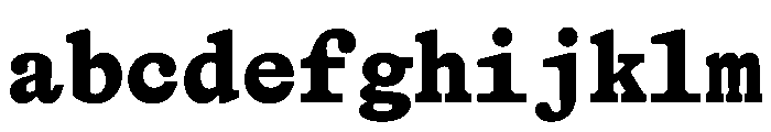 HALTimezoneMono Black FONT
