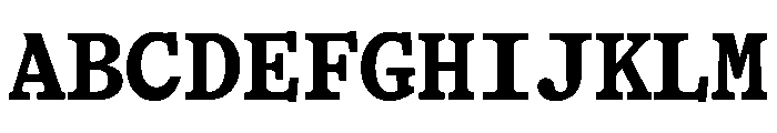 HALTimezoneMono Bold Font UPPERCASE