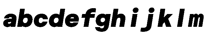 Haffer TRIAL MonoBlackItalic Instance FONT