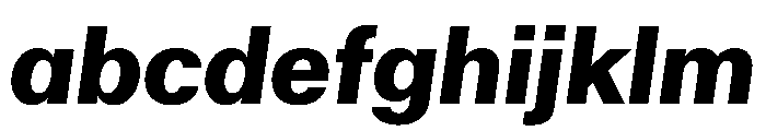 Haltung Web ExtraBoldItalic FONT