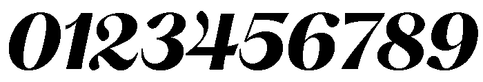 Hatton Bold Italic Font OTHER CHARS