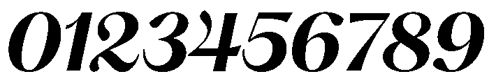 Hatton Semibold Italic Font OTHER CHARS