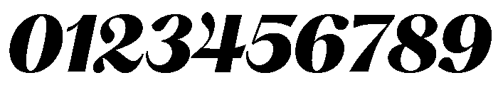 Hatton Ultrabold Italic Font OTHER CHARS