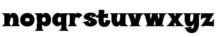 Halau Serif Bold Font LOWERCASE