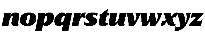 Hardcover Black Italic Font LOWERCASE