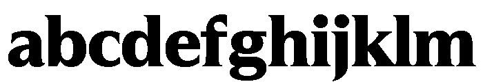 Hardcover Bold FONT