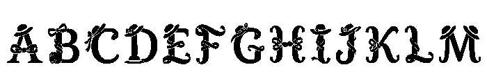 Heber Regular FONT