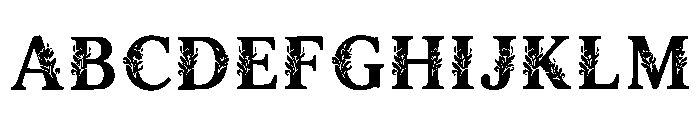 Heddy Regular Font UPPERCASE