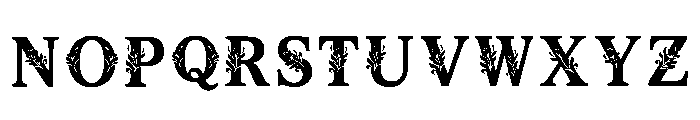 Heddy Regular Font LOWERCASE
