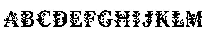 Helge Regular FONT