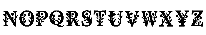 Helge Regular Font LOWERCASE