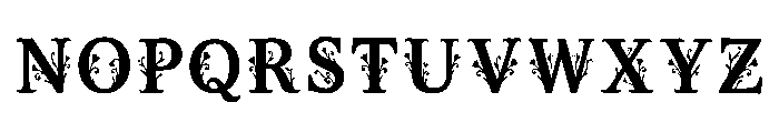 Herb Regular Font UPPERCASE