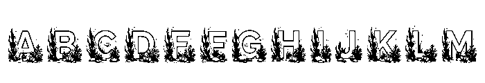 Hex Regular FONT