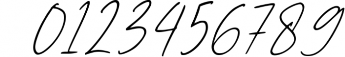 Heleny - Signature Script Font Font OTHER CHARS