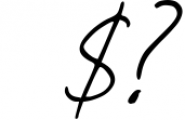 Heleny - Signature Script Font Font OTHER CHARS
