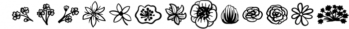 Herbarium font. New Language Update! 1 Font LOWERCASE