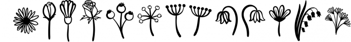 Herbarium font. New Language Update! 1 Font LOWERCASE