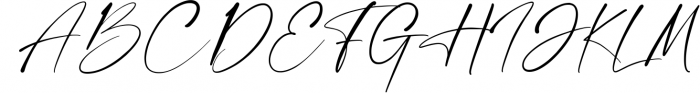 Heritage - Chic Modern Font Font UPPERCASE
