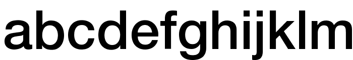 Helvetica Neue Medium Font LOWERCASE
