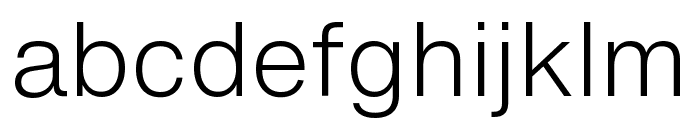 HelveticaNowText-Light Font LOWERCASE