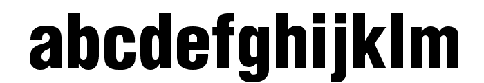 HelveticaLTStd-BlkCond Font LOWERCASE