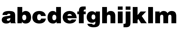 HelveticaLTStd-Blk Font LOWERCASE